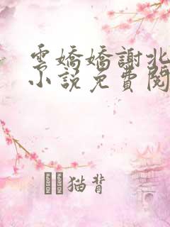 云娇娇谢北溟的小说免费阅读