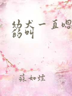 幼犬一直嗯嗯嗯的叫
