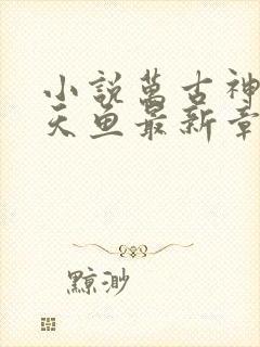 小说万古神帝飞天鱼最新章节目录