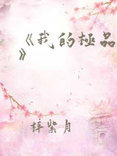 《我的极品小姨》