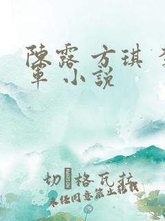 陈露 方琪 李军 小说