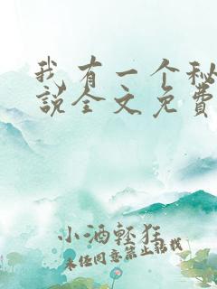 我有一个秘密小说全文免费阅读