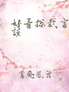 好看总裁言情小说