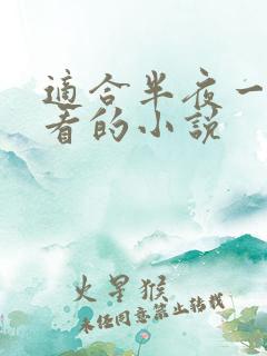适合半夜一个人看的小说