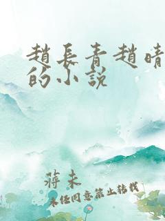 赵长青赵晴父女的小说