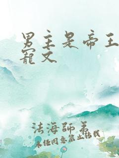 男主是帝王的甜宠文