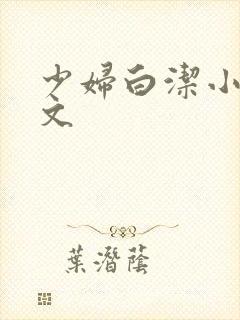 少妇白洁小说辣文