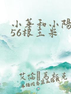 小华和小阳共有56根玉米