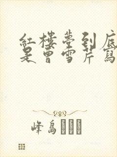 红楼梦到底是不是曹雪芹写的