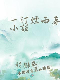 一汀烟雨春色迟小说