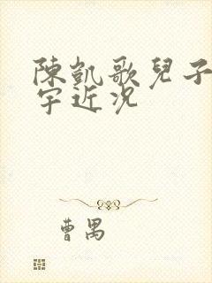 陈凯歌儿子陈飞宇近况