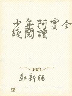 少年阿宾全本在线阅读