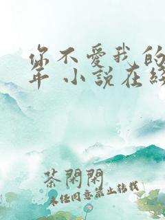 你不爱我的那些年 小说在线阅读