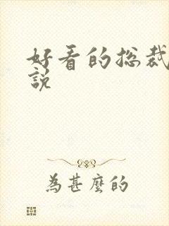 好看的总裁文小说