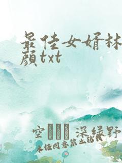 最佳女婿林羽江颜txt