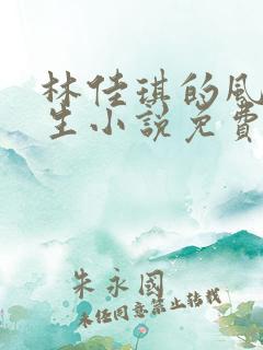 林佳琪的风流人生小说免费阅读