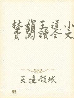 林娟王道小说免费阅读全文