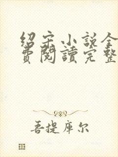 绍宋小说全文免费阅读完整版
