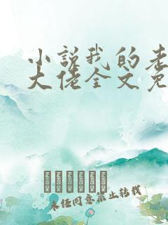 小说我的老公是大佬全文免费阅读