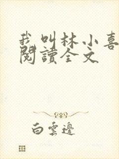 我叫林小喜免费阅读全文