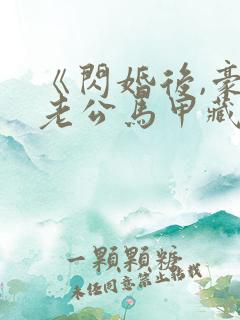 《闪婚后,豪门老公马甲藏不住了》