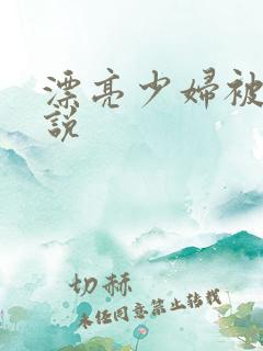 漂亮少妇被插小说