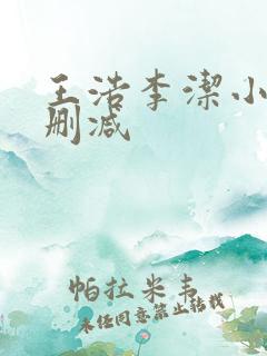 王浩李洁小说无删减