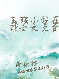 王强小说在线阅读全文免费