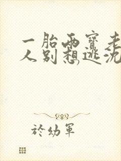 一胎两宝老婆大人别想逃沈蔓歌