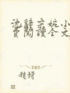 沈辞宋婉小说免费阅读全文无弹窗