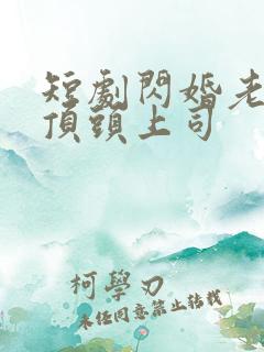 短剧闪婚老公是顶头上司