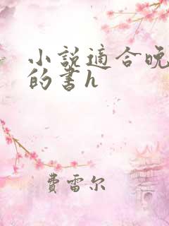 小说适合晚上看的书h