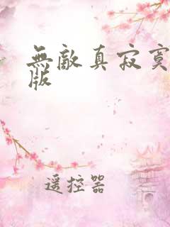 无敌真寂寞小说版