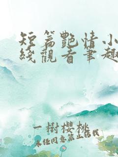 短篇艳情小说在线观看笔趣阁