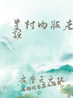 农村肉版老妇小说
