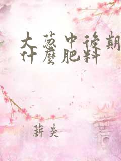 大葱中后期需要什么肥料