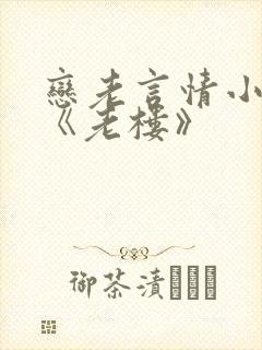 恋老言情小说网《老楼》