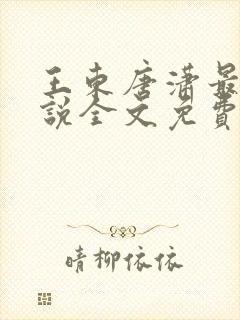 王东唐潇最新小说全文免费阅读萧峥的小说
