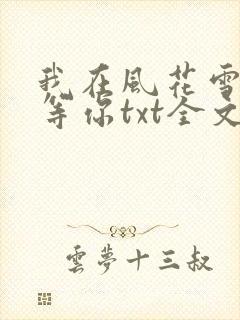 我在风花雪月里等你txt全文下载