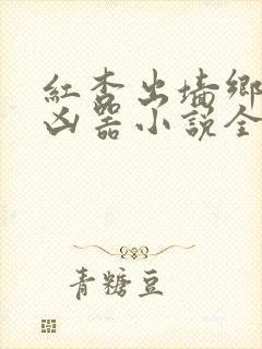 红杏出墙乡村大凶器小说全集小说