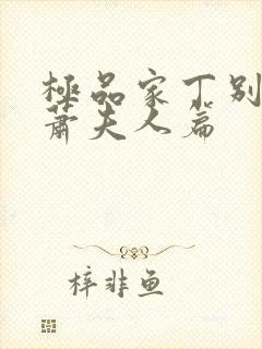 极品家丁别传—萧夫人篇