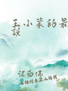王小蒙的最新小说