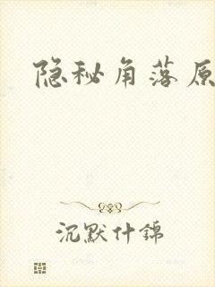 隐秘角落原著