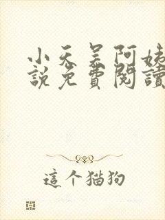 小天吴阿姨的小说免费阅读无弹窗