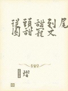 从头甜到尾的校园甜宠文