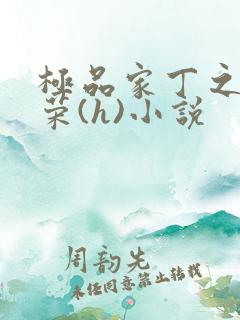 极品家丁之林晚荣(h)小说