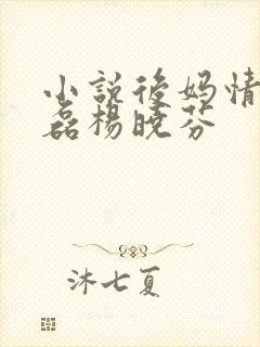 小说后妈情深王磊杨晓芬