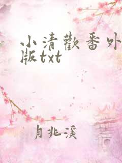 小清欢番外完整版txt