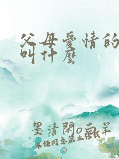 父母爱情的老丁叫什么