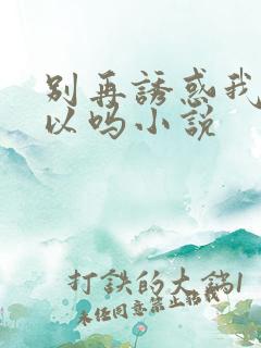 别再诱惑我了可以吗小说